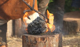 Geležies gimimas molinėse įsčiose