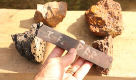 Geležies gimimas molinėse įsčiose