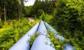 Palangiškiai liko be dujų