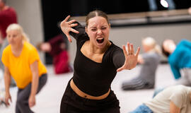 &quot;Agiloje&quot; pradėjo veikti Šeiko šokio studija