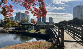 iš Japonijos grįžęs Saulius Mickus