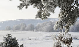 Neringos savivaldybės