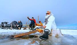 Stintapūkis Neringoje