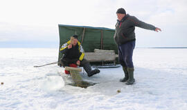 Bumbenieke zvejībe, arba Stintų fenomenas