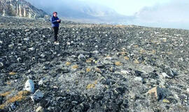 Arkties gyventojai įveikė vandenyną ir pasiekė Grenlandiją