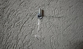 Pepper grey, paveikslas, vagystė