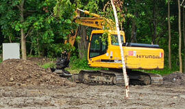 Dangės vingyje nelegaliai medžius iškirtęs verslininkas