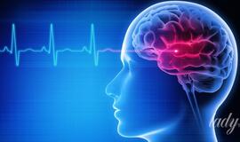 Mokslininkai laboratorijoje išaugino smegenis: kuo viskas baigėsi