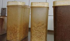 Kavinės Vilniuje uždarymas dėl higienos pažeidimų