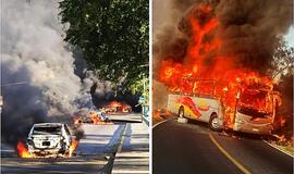 Chaosas Meksikos gatvėse