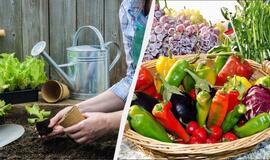 Mėnulio kalendorius