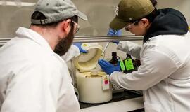 Mokslininkai kuria hidrogelio bateriją