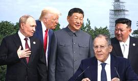 Politinės figūros lauko renginyje