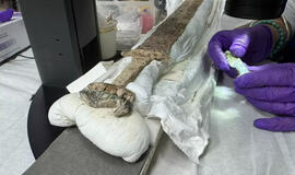 Anglijoje rastas 1500 metų senumo runomis išraižytas kalavijas nustebino net mokslininkus