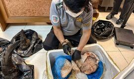 Raganosio ragų kontrabanda