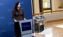 Premjerė Inga Ruginienė