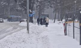 Sniegas, Klaipėda, pėstieji