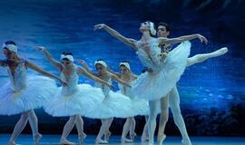 Spektaklis „Gulbių ežeras“