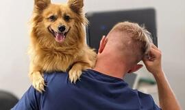 Vilniuje atidarytas pirmasis Baltijos šalyse veterinarijos stomatologijos centras