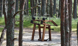 medžio karkaso treniruokliai