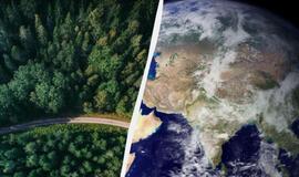 Žemės augmenija palaipsniui slenka į šiaurės rytus