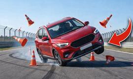 „Briedžio testas“ (angl. moose test)