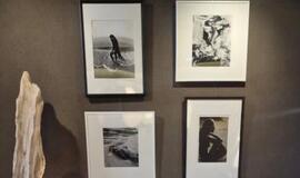 Fotografijos, paroda