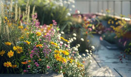 Nereikia nei laistyti, nei tręšti: šios gėlės vešliai žydės iki pat šalnų be priežiūros