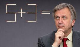 Dėlionės su degtukais