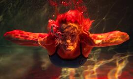 Klaipėdos baseinas, paroda