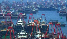 Kinijos žvejybos laivynas