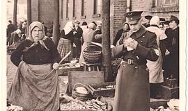 Klaipėdos atvirutė