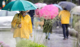 Sinoptikai: savaitės pradžia – su lietumi ir vėsesniais orais