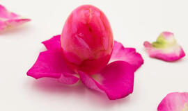 Velykų kiaušinius dažau rožių žiedų spalva