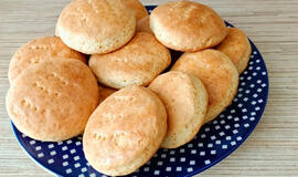 gaminu skanius paplotėlius