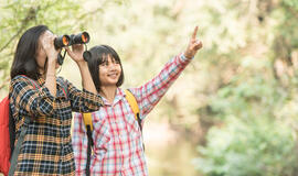 Paukščių stebėjimas gali sulėtinti smegenų senėjimą