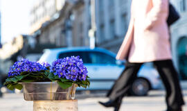 Naują savaitę laukia permainingi orai: lietus, rūkas ir saulė