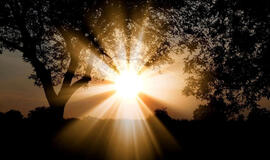 naujas efektyvus būdas saulės šviesą paversti kuru