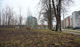 Strėvos gatvė, Klaipėdos uostas, Neto terminalas