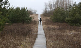 Pajūris, kopos, takai