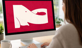 Koks jūsų intelekto tipas