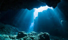 Povandeniniame urve narai rado didžiausią beždžionių fosilijų kolekciją