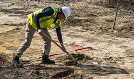 Atsitiktinai aptiko 28 metrų ilgio milžino palaikus