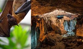 Kenijoje esantis Kitumo urvas