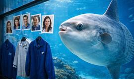 Japonijoje žuvis-mėnulis pradėjo badauti