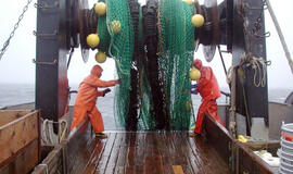 Atviroje Baltijos jūroje žvejojančios Lietuvos žuvininkystės produktų