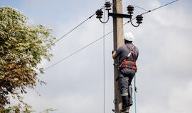 Elektros tinklai, darbininkas