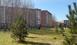 Liudviko Stulpino progimnazija, tvora