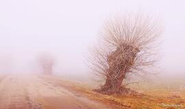 Nagarbos piliakalnio aplinka