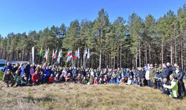 pasodino 16 tūkst. paprastosios pušies sodinukų